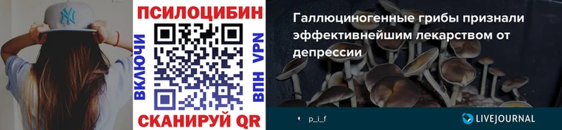 Псилоцибиновые грибы GOLDEN TEACHER  купить  сайты  Вичуга 